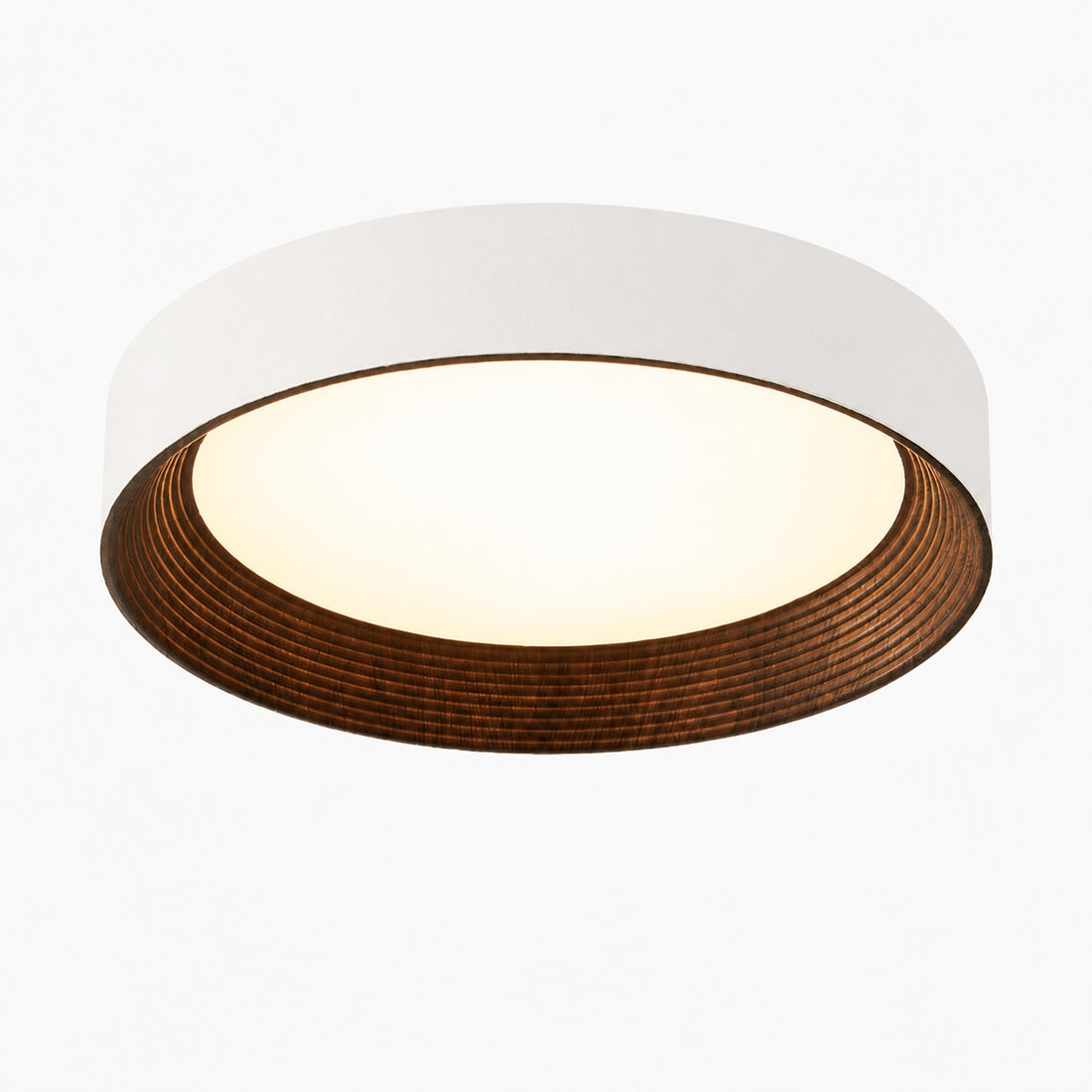 Minimalist LED Round Ceiling Light