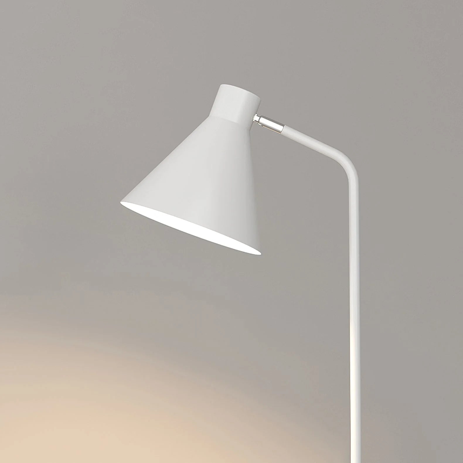 Multifunctional Dual Purpose Integrated Floor Lamp