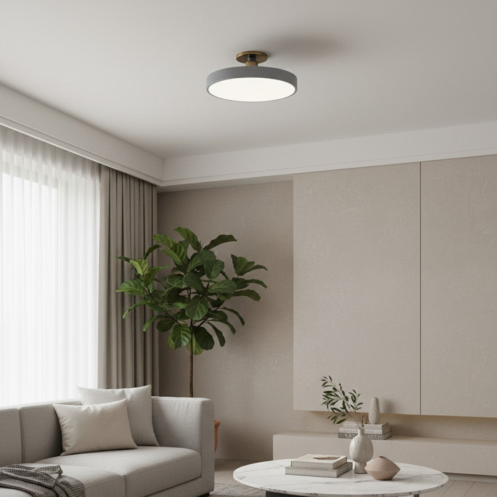 Ceilivon Ceiling Light Wide Diffuser Flush Mount Ceiling Light - Modern Style for Living Room