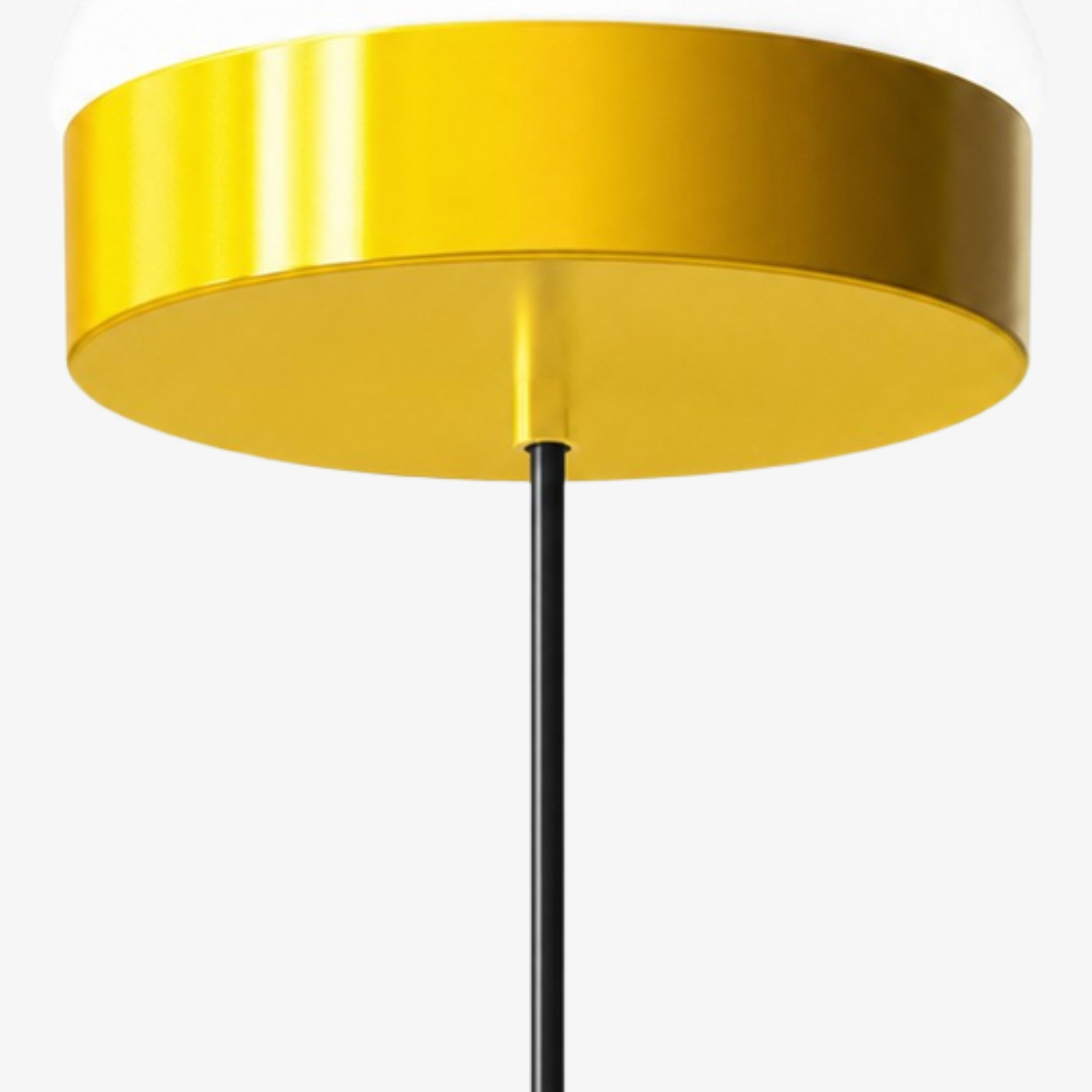 Metal canopy and pendant cord detail