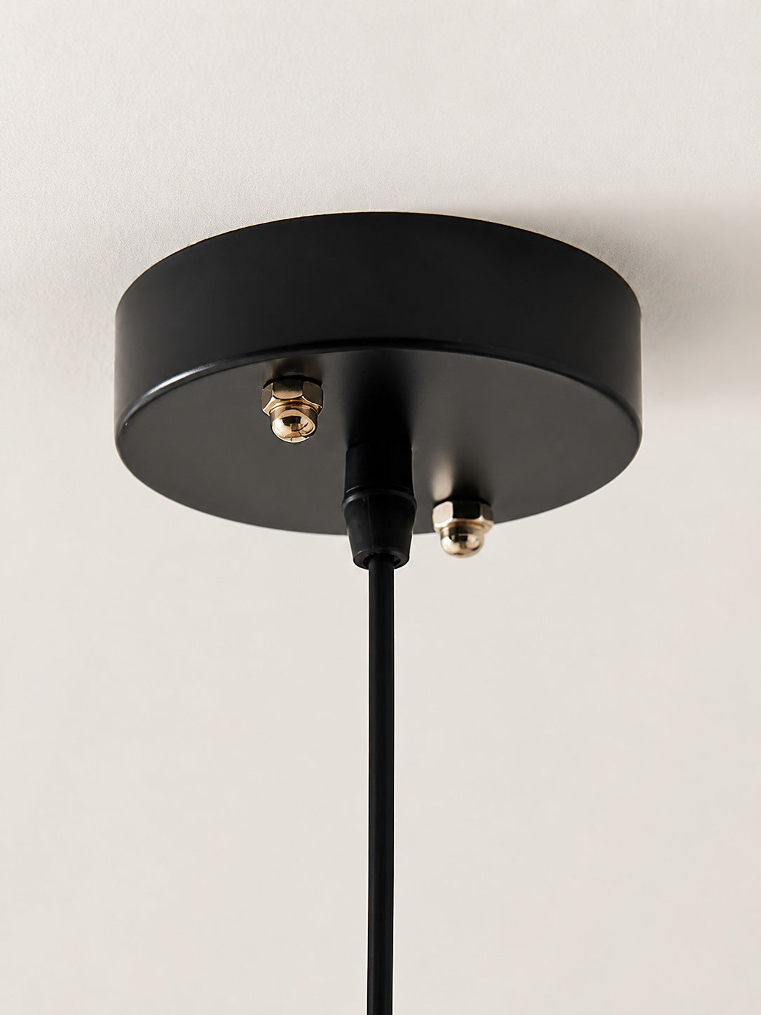 Banana Leaf Pendant Lamp
