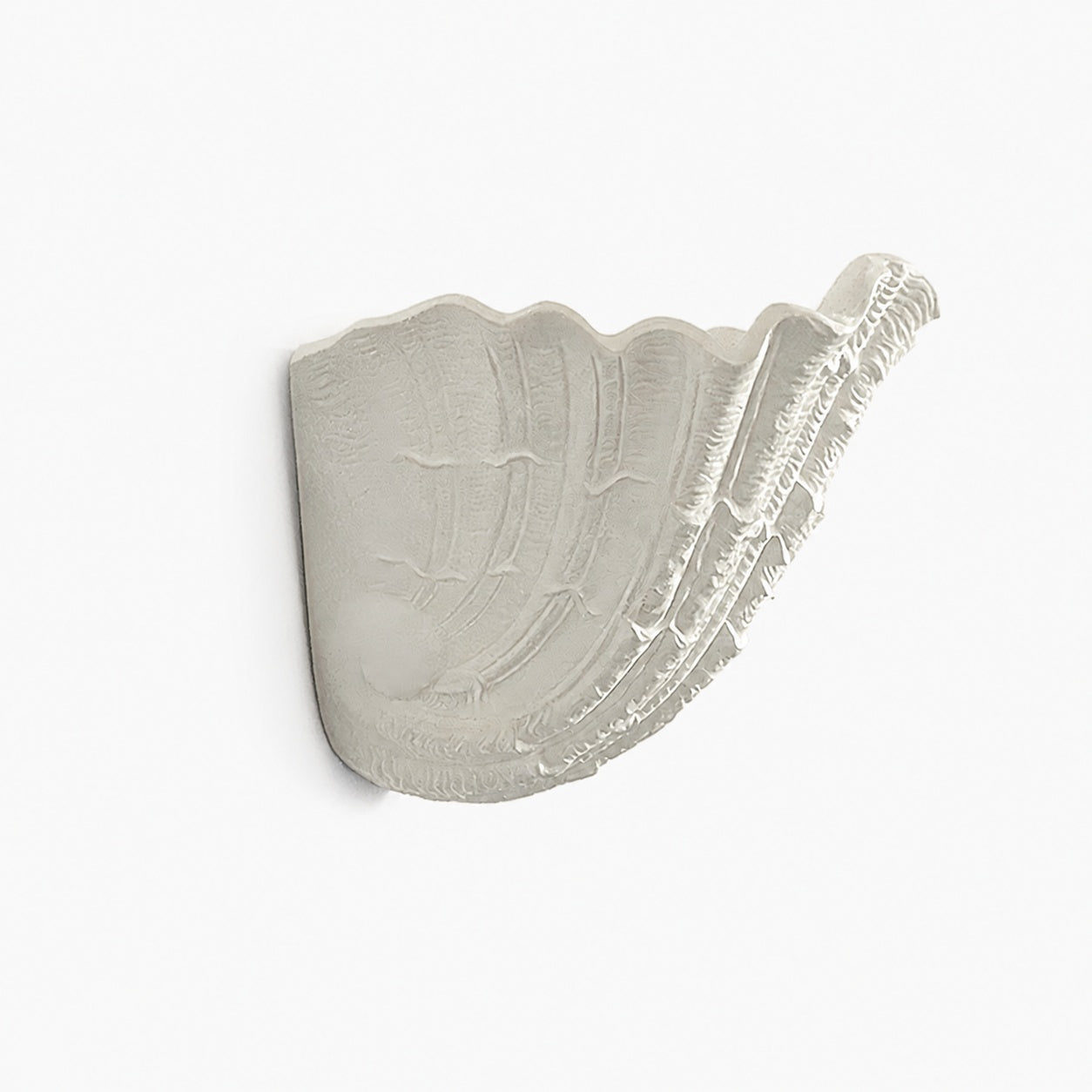 Maris Shell Plaster Wall Lamp