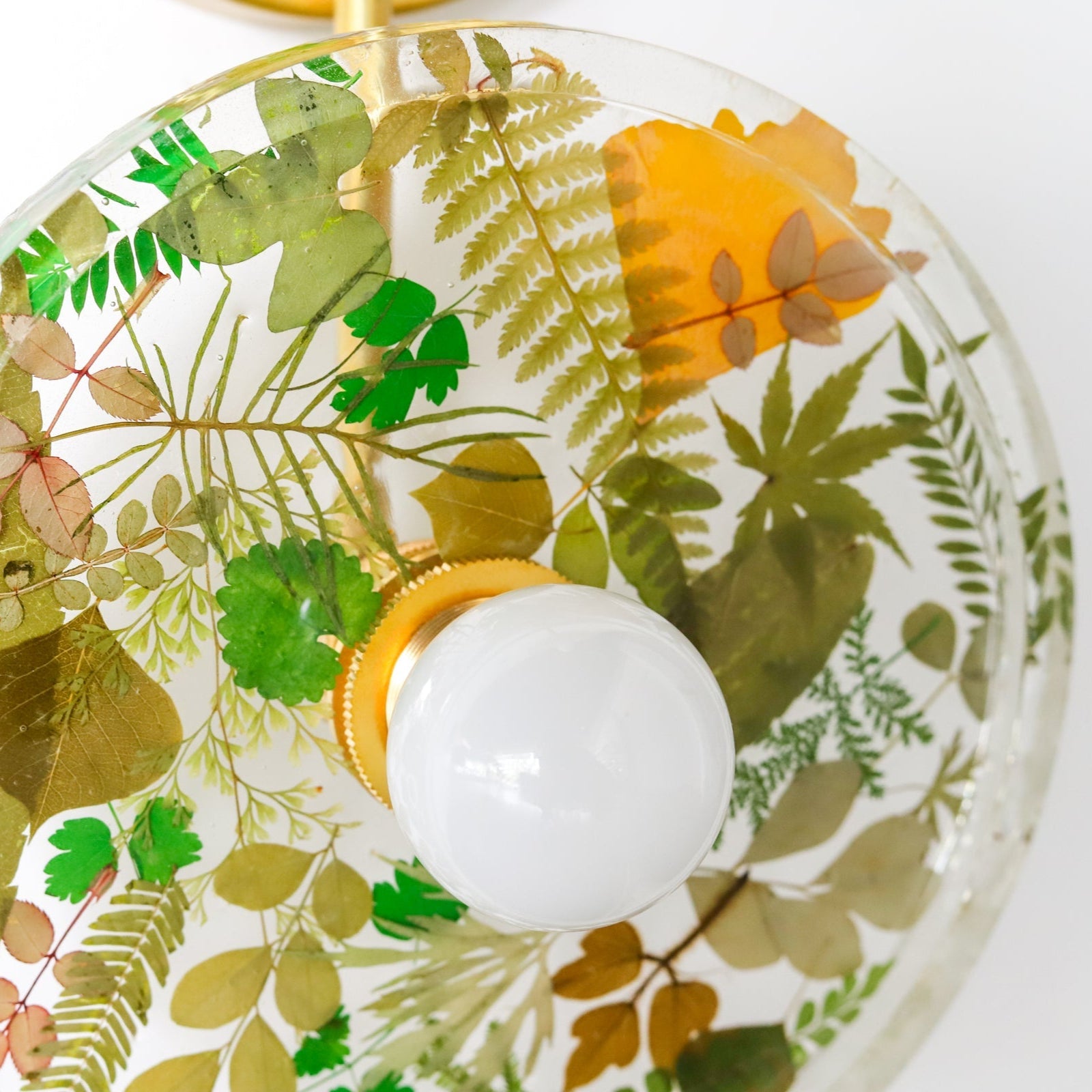 Resin Botanical Wall Sconce - Nature Inspired Flush Mount Lighting