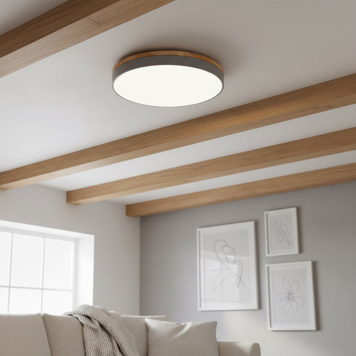 Cielora Round Flush Mount Ceiling Lamp Minimal Profile - Modern Interior Decor