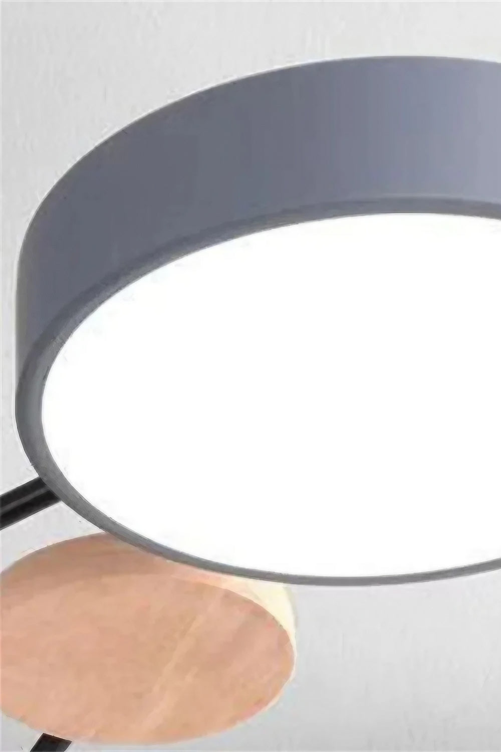 Multihead Disc Morandi Color Branch Ceiling Light