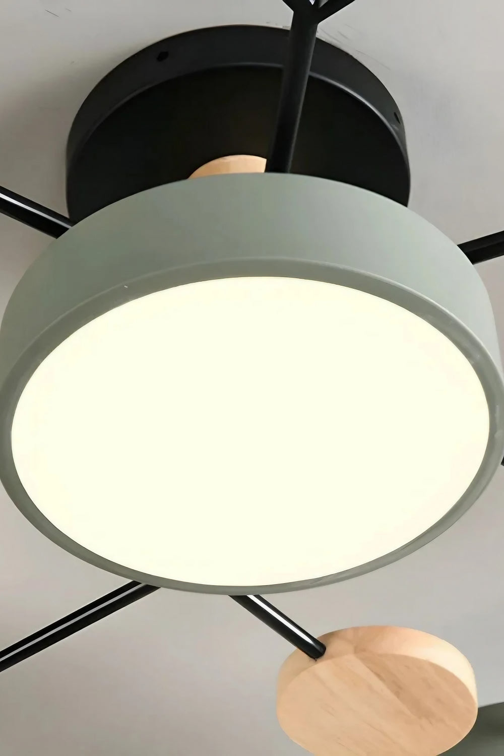 Multihead Disc Morandi Color Branch Ceiling Light