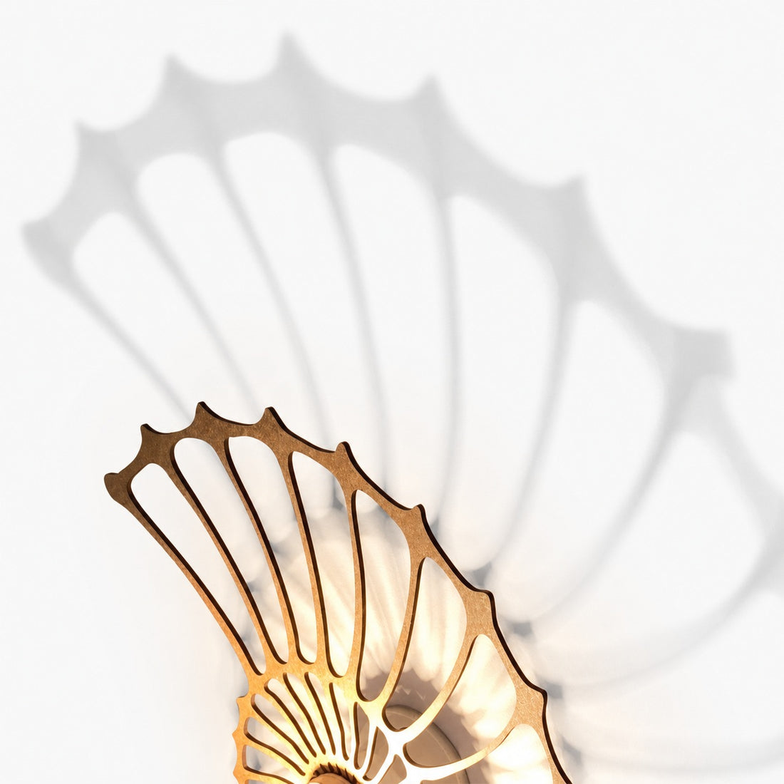 Spiralyn Nautilus Shell Silhouette Modern Wall Lamp - Lighting for Living Room