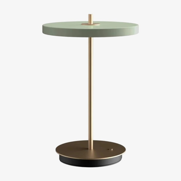 Astris Modern Minimalist Metal Table Lamp Soft LED Illumination for Living Room and Office