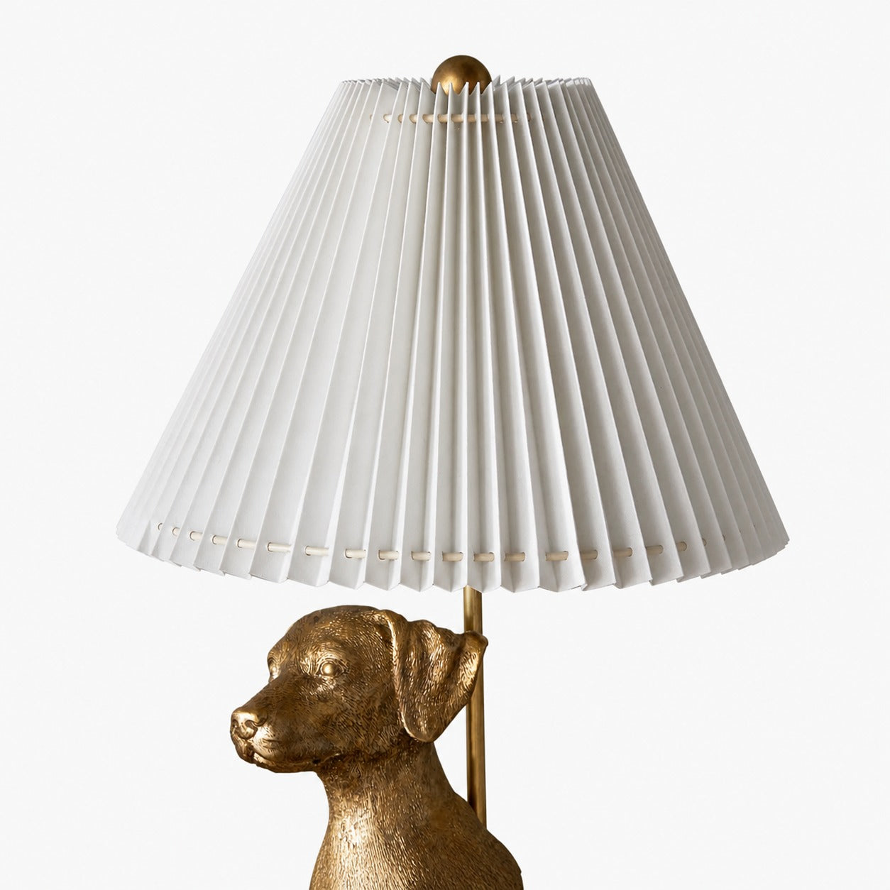Pawdia Unique Table Lamp - Decorative Animal Bedside Lamp