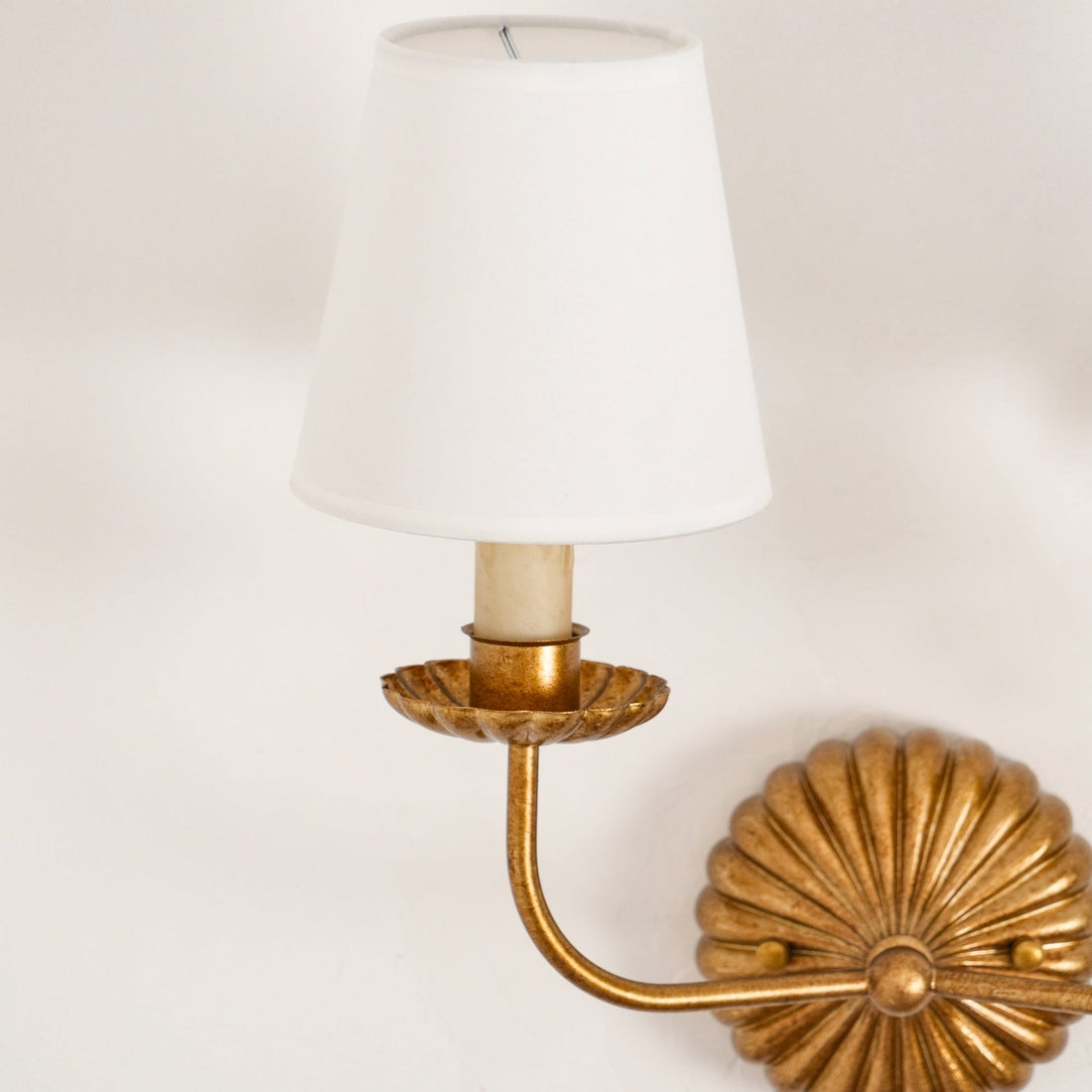 Catina Clove Wall Sconce Double