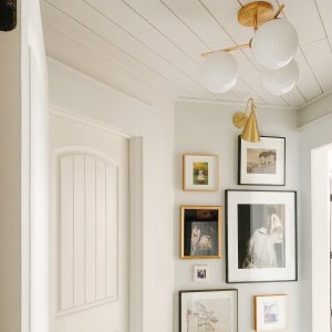 Alessora Brass Milk Glass Chandeliers- Great for Covered Outdoor Areas