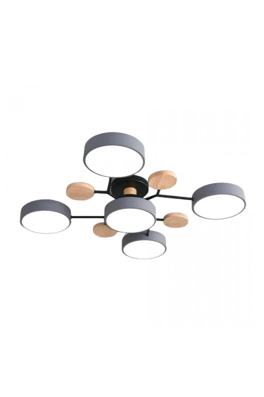 Multihead Disc Morandi Color Branch Ceiling Light