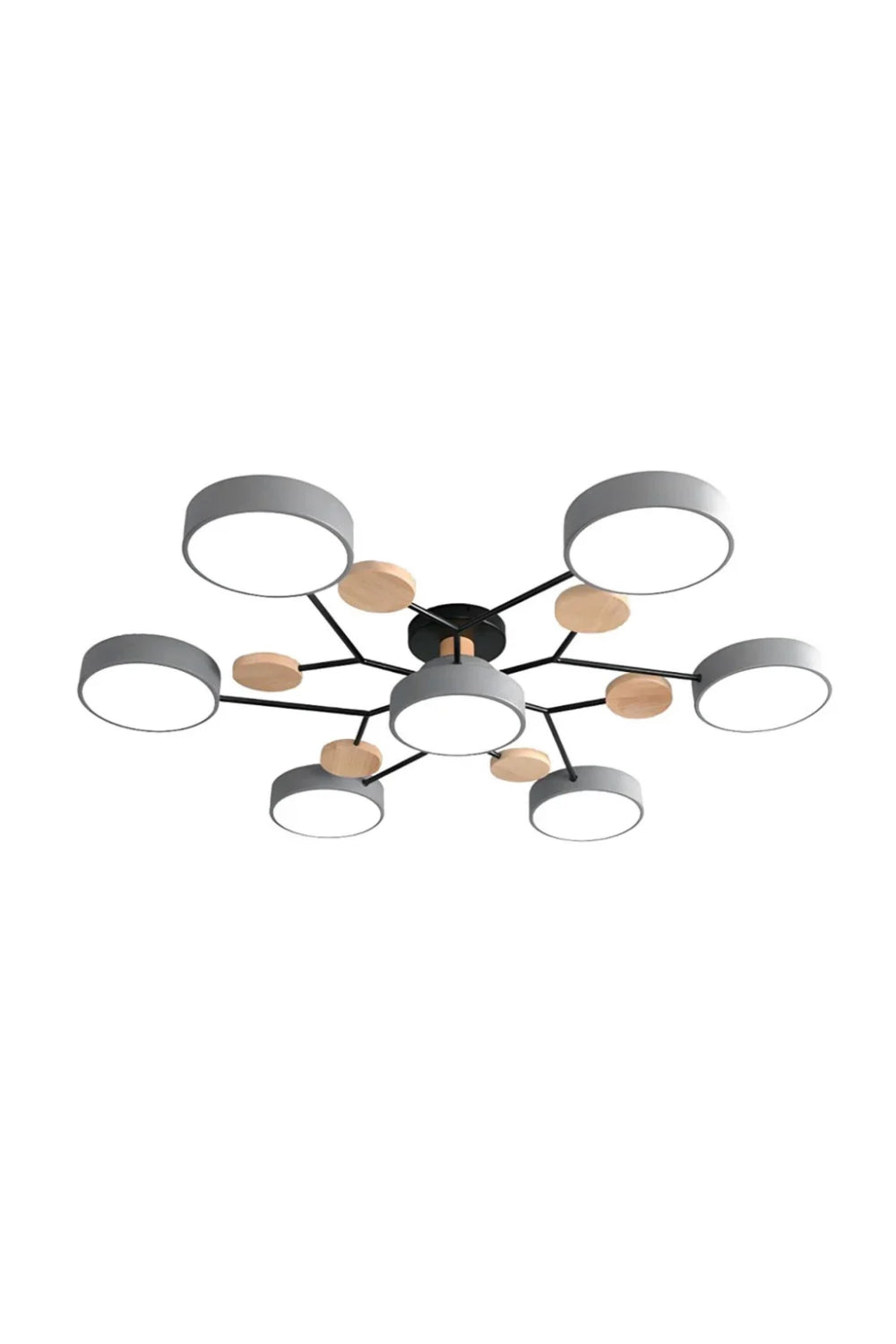Multihead Disc Morandi Color Branch Ceiling Light