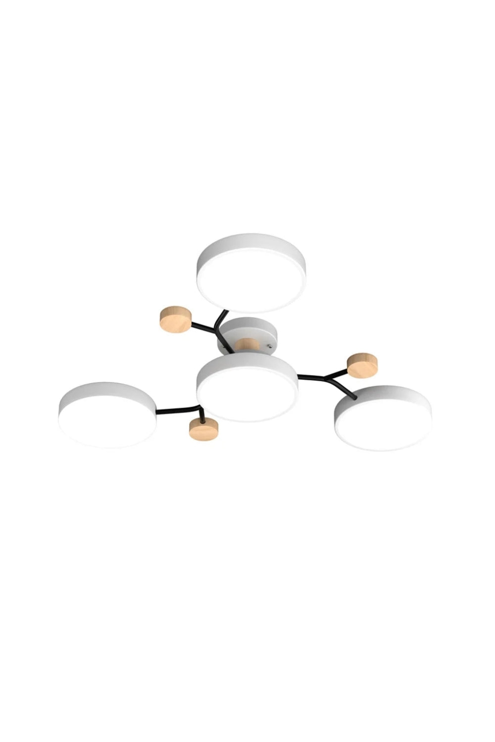 Multihead Disc Morandi Color Branch Ceiling Light