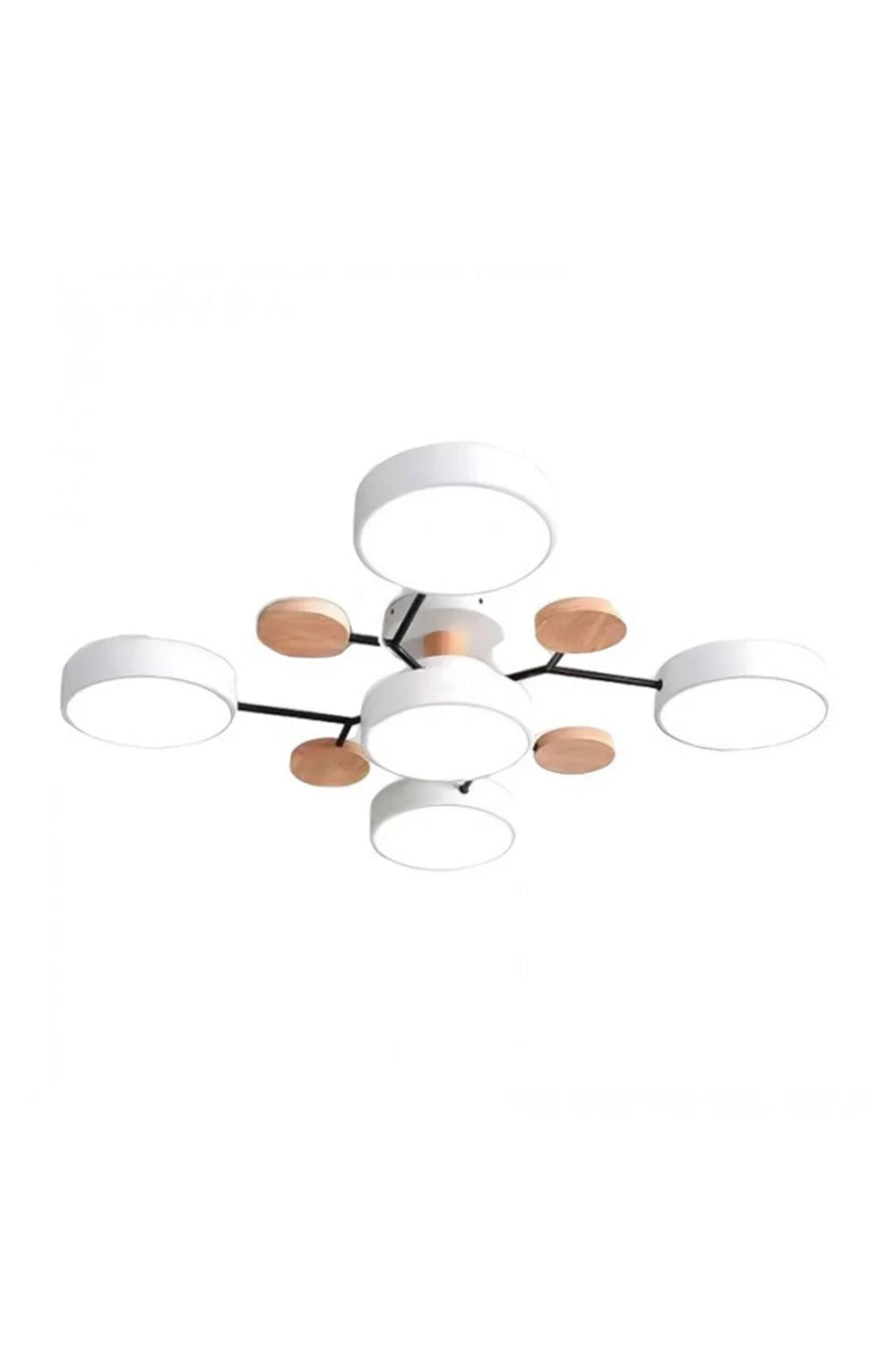 Multihead Disc Morandi Color Branch Ceiling Light