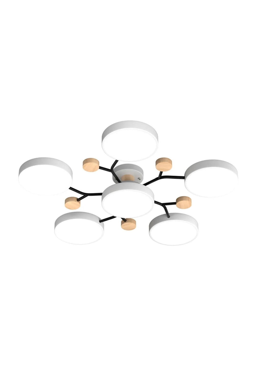 Multihead Disc Morandi Color Branch Ceiling Light