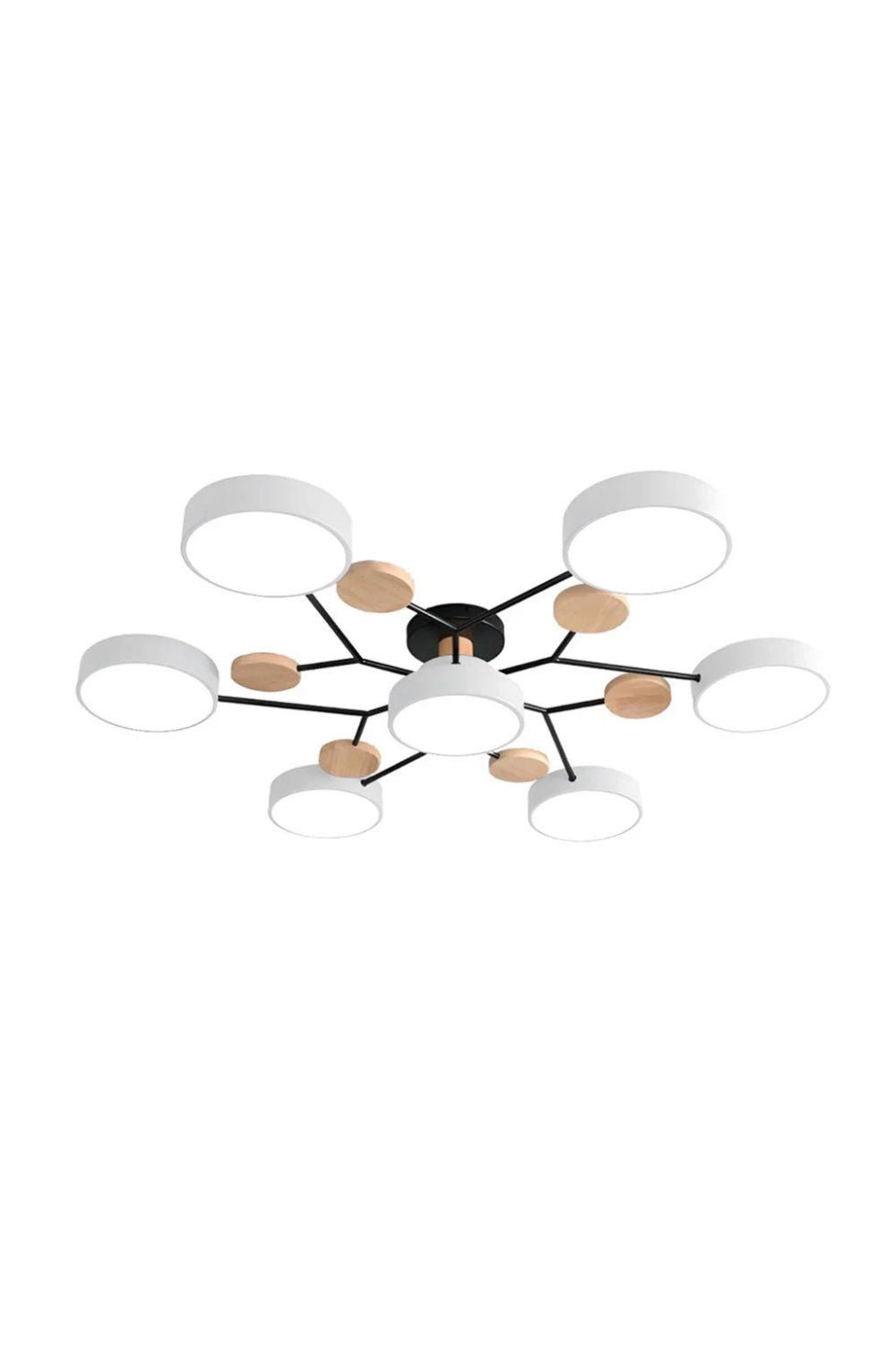 Multihead Disc Morandi Color Branch Ceiling Light